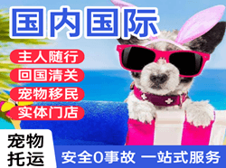 拉萨贡嘎航空货运国际宠物托运 【国